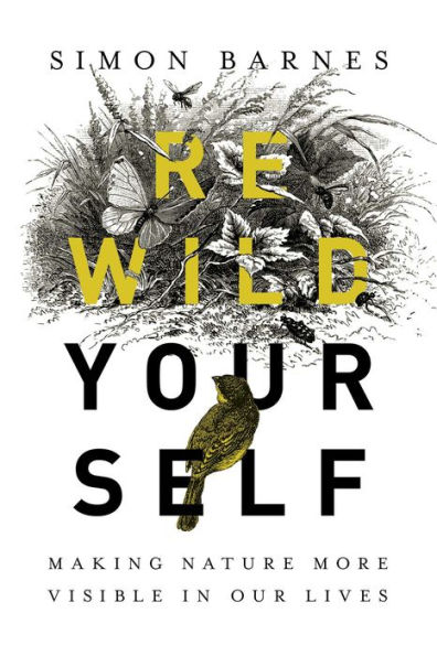 Rewild Yourself: Making Nature More Visible our Lives