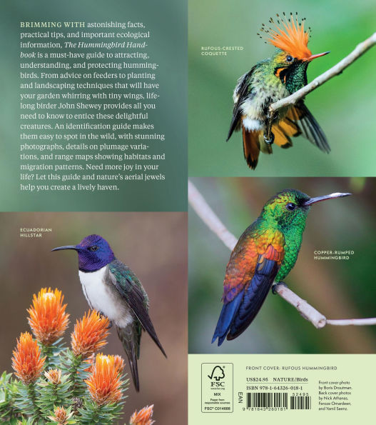 The Hummingbird Handbook: Everything You Need to Know about These Fascinating Birds