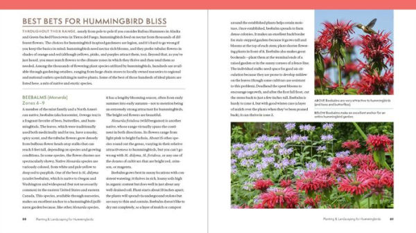 The Hummingbird Handbook: Everything You Need to Know about These ...
