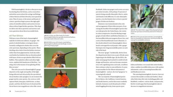 The Hummingbird Handbook: Everything You Need to Know about These Fascinating Birds