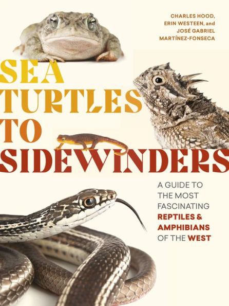 Sea Turtles to Sidewinders: A Guide the Most Fascinating Reptiles and Amphibians of West