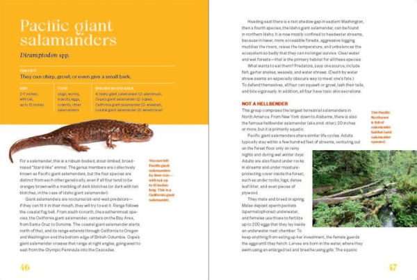 Sea Turtles to Sidewinders: A Guide the Most Fascinating Reptiles and Amphibians of West