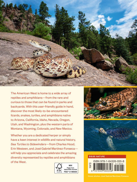 Sea Turtles to Sidewinders: A Guide the Most Fascinating Reptiles and Amphibians of West
