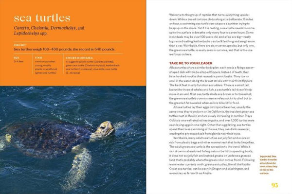 Sea Turtles to Sidewinders: A Guide the Most Fascinating Reptiles and Amphibians of West