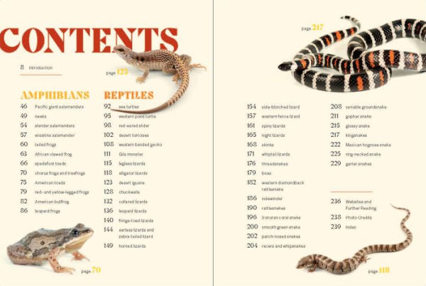 Sea Turtles to Sidewinders: A Guide the Most Fascinating Reptiles and Amphibians of West