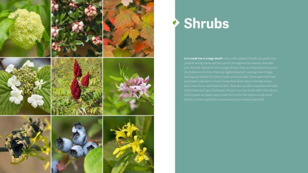 The Northeast Native Plant Primer: 235 Plants for an Earth-Friendly Garden