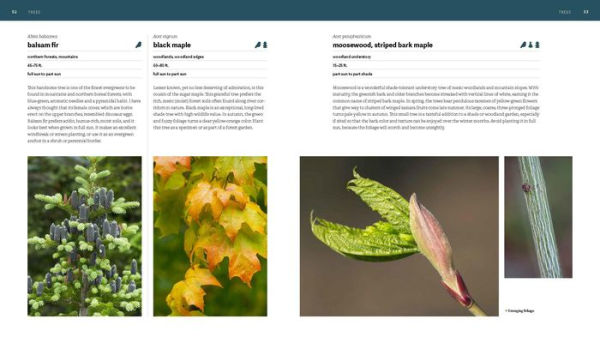 The Northeast Native Plant Primer: 235 Plants for an Earth-Friendly Garden
