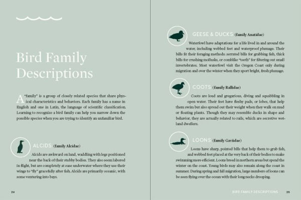 Birds of the Oregon Coast