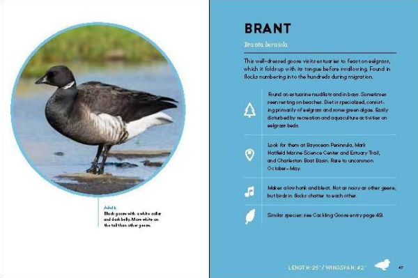 Birds of the Oregon Coast