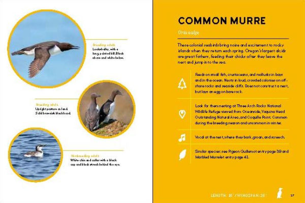 Birds of the Oregon Coast