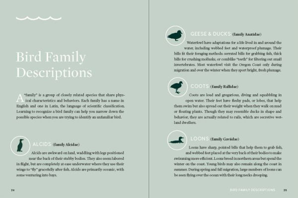 Birds of the Oregon Coast