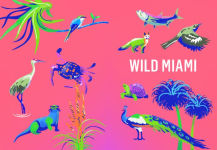 Alternative view 4 of Wild Miami: Explore the Amazing Nature in and Around South Florida
