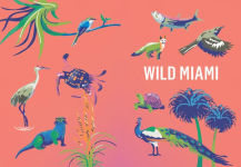 Alternative view 7 of Wild Miami: Explore the Amazing Nature in and Around South Florida