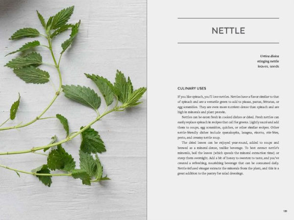 Urban Foraging: Find, Gather, and Cook 50 Wild Plants