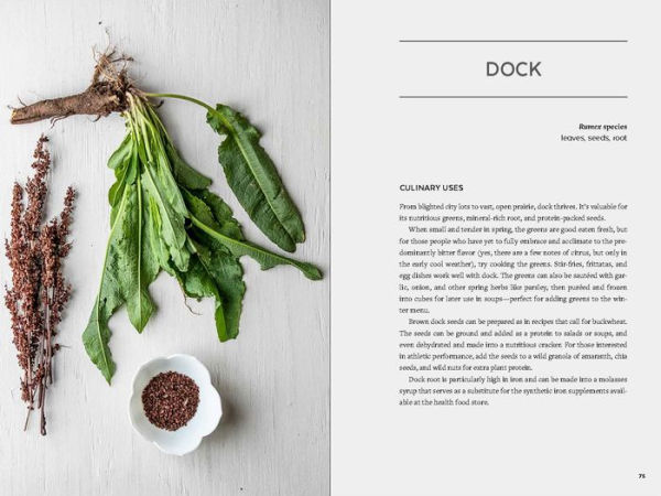 Urban Foraging: Find, Gather, and Cook 50 Wild Plants