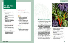 Alternative view 2 of The Beginner's Guide to Growing Great Vegetables
