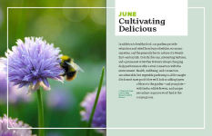 Alternative view 3 of The Beginner's Guide to Growing Great Vegetables
