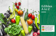 Alternative view 5 of The Beginner's Guide to Growing Great Vegetables