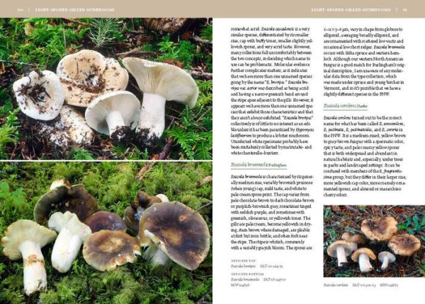 Mushrooms of the Pacific Northwest, Revised Edition