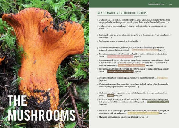 Mushrooms of the Pacific Northwest, Revised Edition