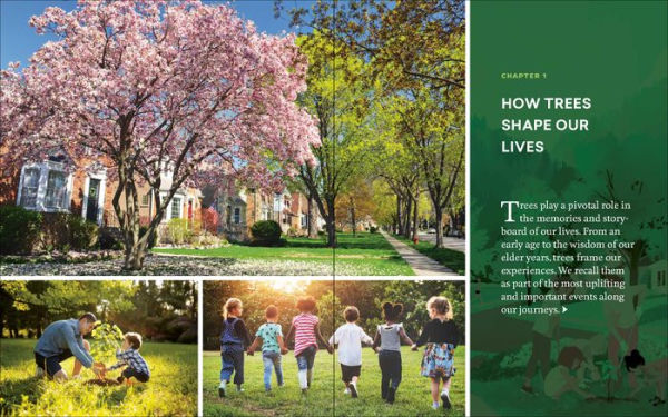 Now Is the Time for Trees: Make an Impact by Planting Earth's Most Valuable Resource