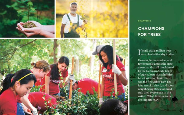 Now Is the Time for Trees: Make an Impact by Planting Earth's Most Valuable Resource