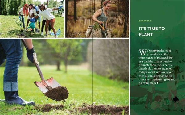 Now Is the Time for Trees: Make an Impact by Planting Earth's Most Valuable Resource