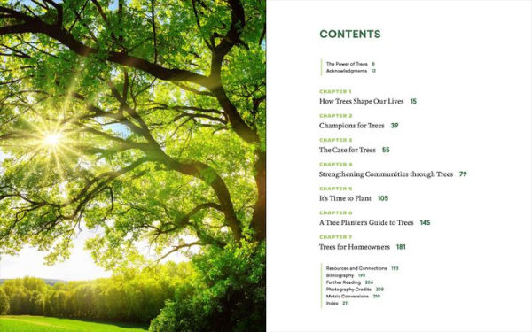 Now Is the Time for Trees: Make an Impact by Planting Earth's Most Valuable Resource