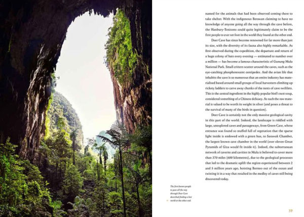 Subterranea: Journey into the Depths of the Earth's Most Extraordinary Underground Spaces
