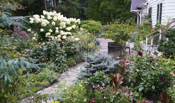 American Roots: Lessons and Inspiration from the Designers Reimagining Our Home Gardens