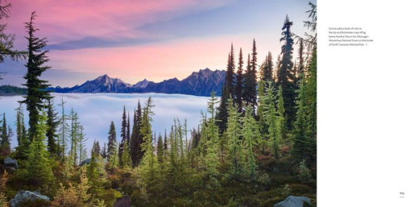 Washington, Evergreen: Land of Natural Wonders