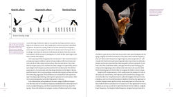 Alternative view 12 of The Weird and Wonderful World of Bats: Demystifying These Often-Misunderstood Creatures