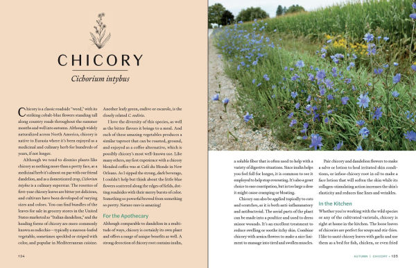 Herbs Every Season: 48 Edible and Medicinal for the Kitchen, Garden, Apothecary