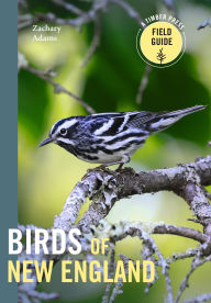 Book downloadable format free in pdf Birds of New England: A Timber Press Field Guide RTF iBook DJVU by Zach Adams 9781643262017