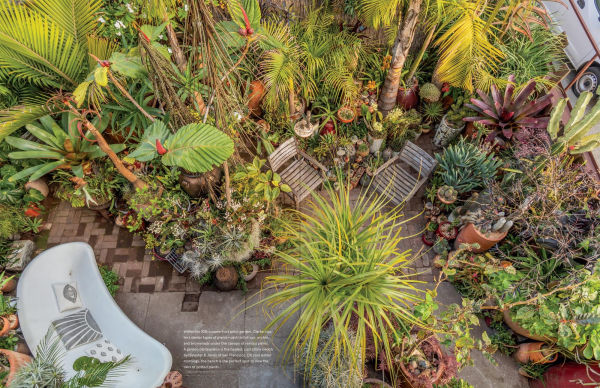 Garden to the Max: Joyful, Visionary, Maximalist Design