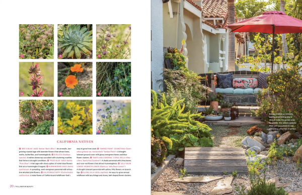 Garden to the Max: Joyful, Visionary, Maximalist Design