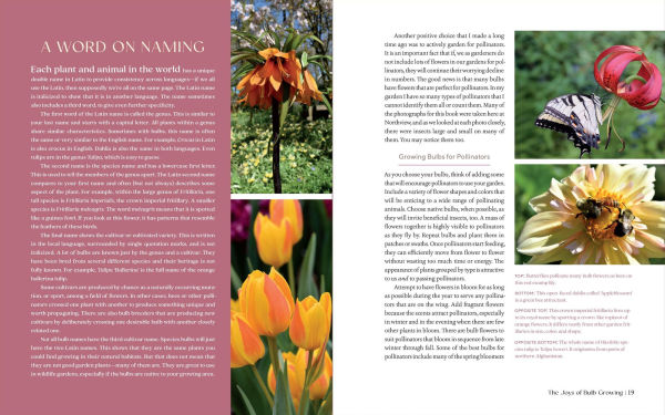 The Essential Guide to Bulbs: Grow a Bounty of Beautiful Bulbs Gardens and Containers