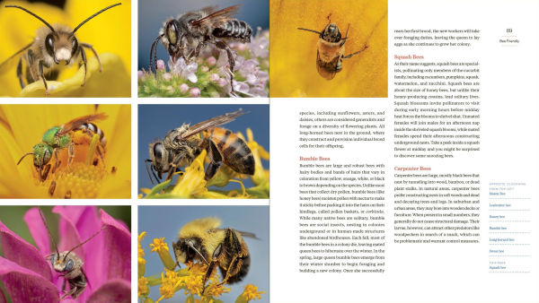 Grass Isn't Greener: The Everyday Conservationist's Guide to Bringing Nature Your Yard