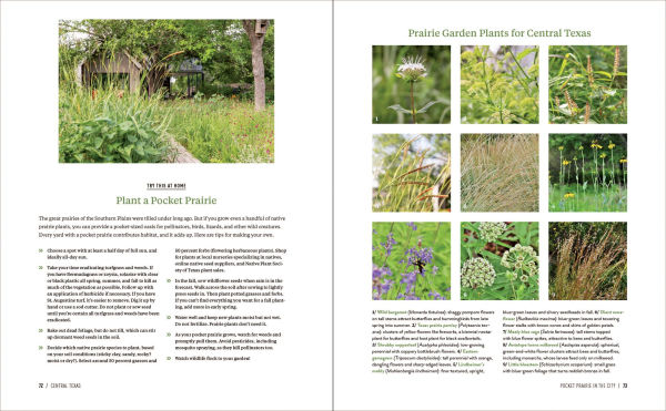 Gardens of Texas: Visions of Resilience from the Lone Star State