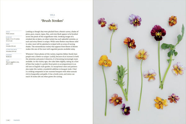 Pansies: How to Grow, Reimagine, and Create Beauty with Pansies Violas