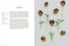 Alternative view 4 of Pansies: How to Grow, Reimagine, and Create Beauty with Pansies and Violas