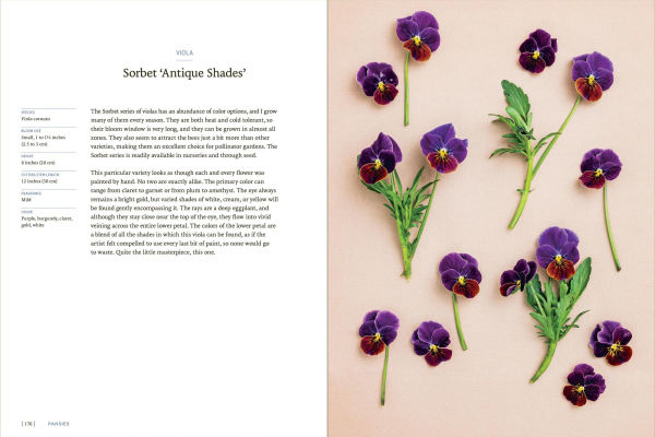Pansies: How to Grow, Reimagine, and Create Beauty with Pansies Violas