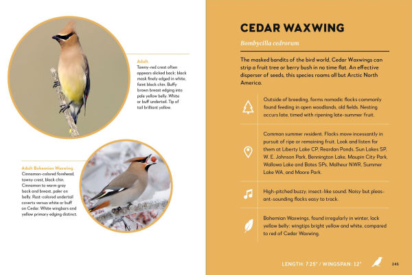 Birds of Washington and Oregon, The East Side