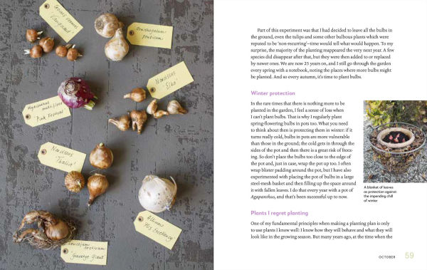 My Garden: A Year of Design and Experimentation