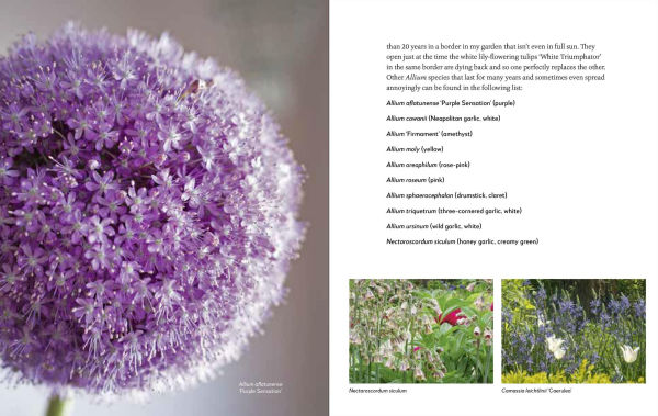 My Garden: A Year of Design and Experimentation