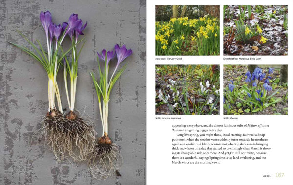 My Garden: A Year of Design and Experimentation