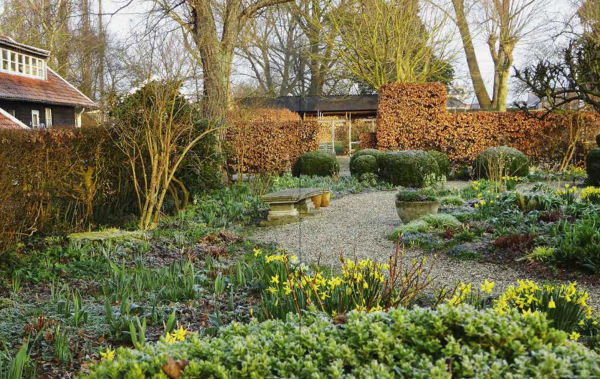 My Garden: A Year of Design and Experimentation