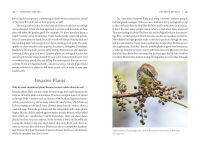 Alternative view 3 of How Can I Help?: Saving Nature with Your Yard