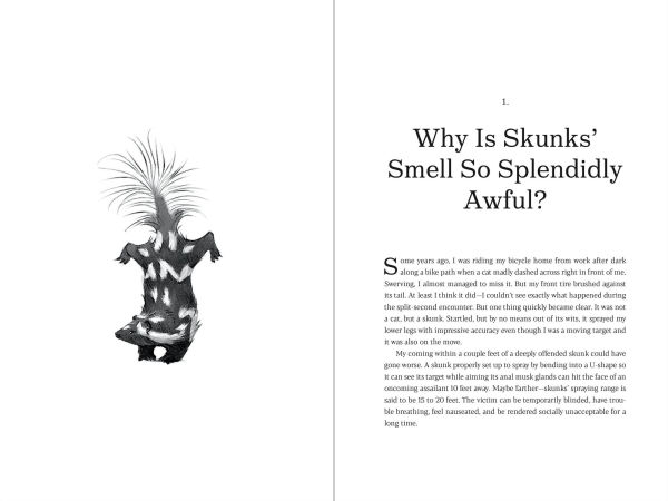 Why Rats Laugh And Jellyfish Sleep: Other Enchanting Stories of Evolution