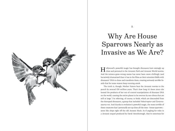 Why Rats Laugh And Jellyfish Sleep: Other Enchanting Stories of Evolution